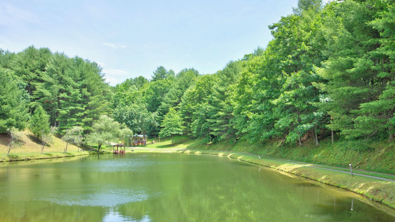Photo of Outdoor in Galax