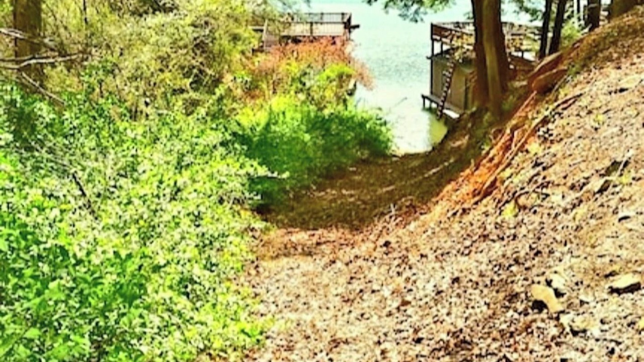 Photo of Outdoor in Lake Lure