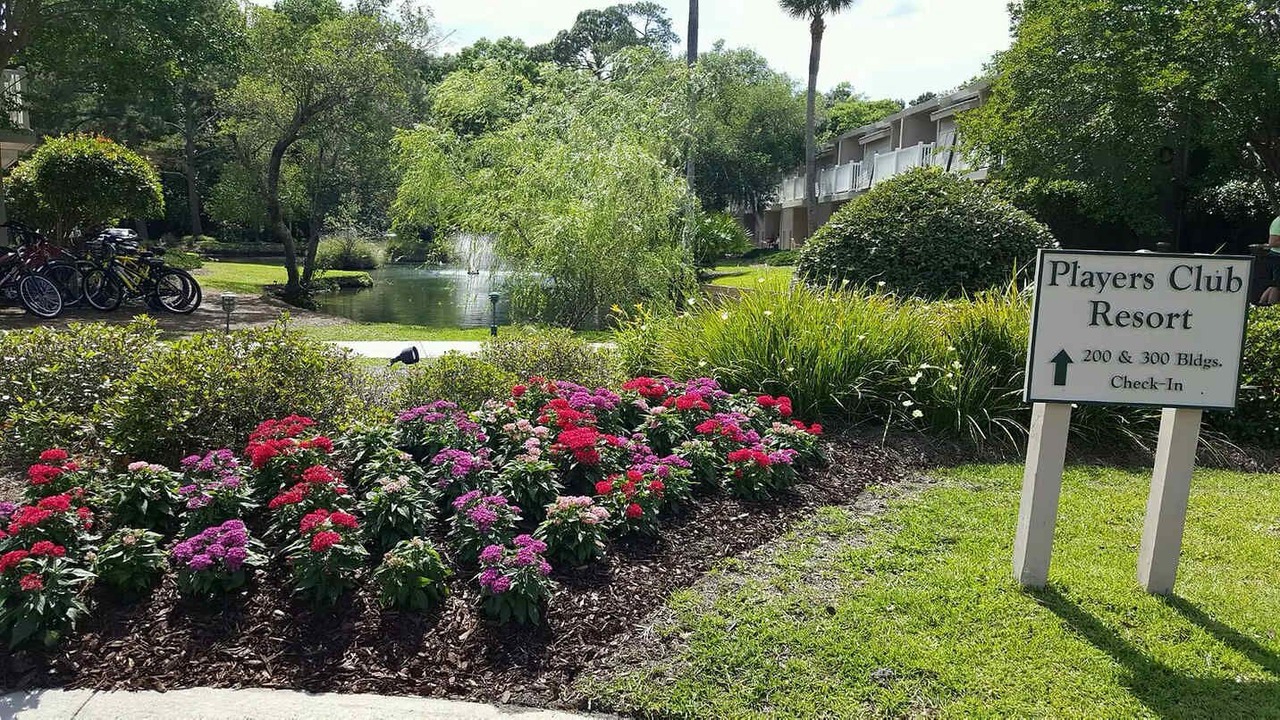Photo of Outdoor in Hilton Head