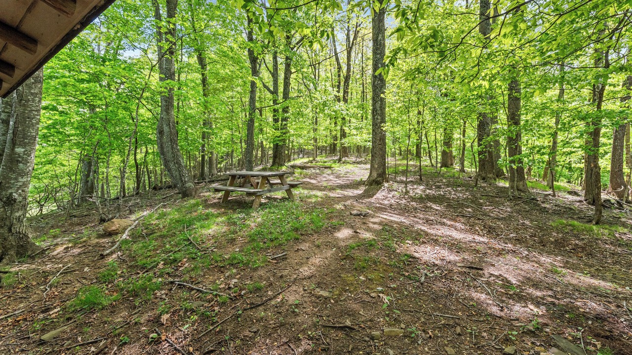 Photo of Outdoor in Stonebridge