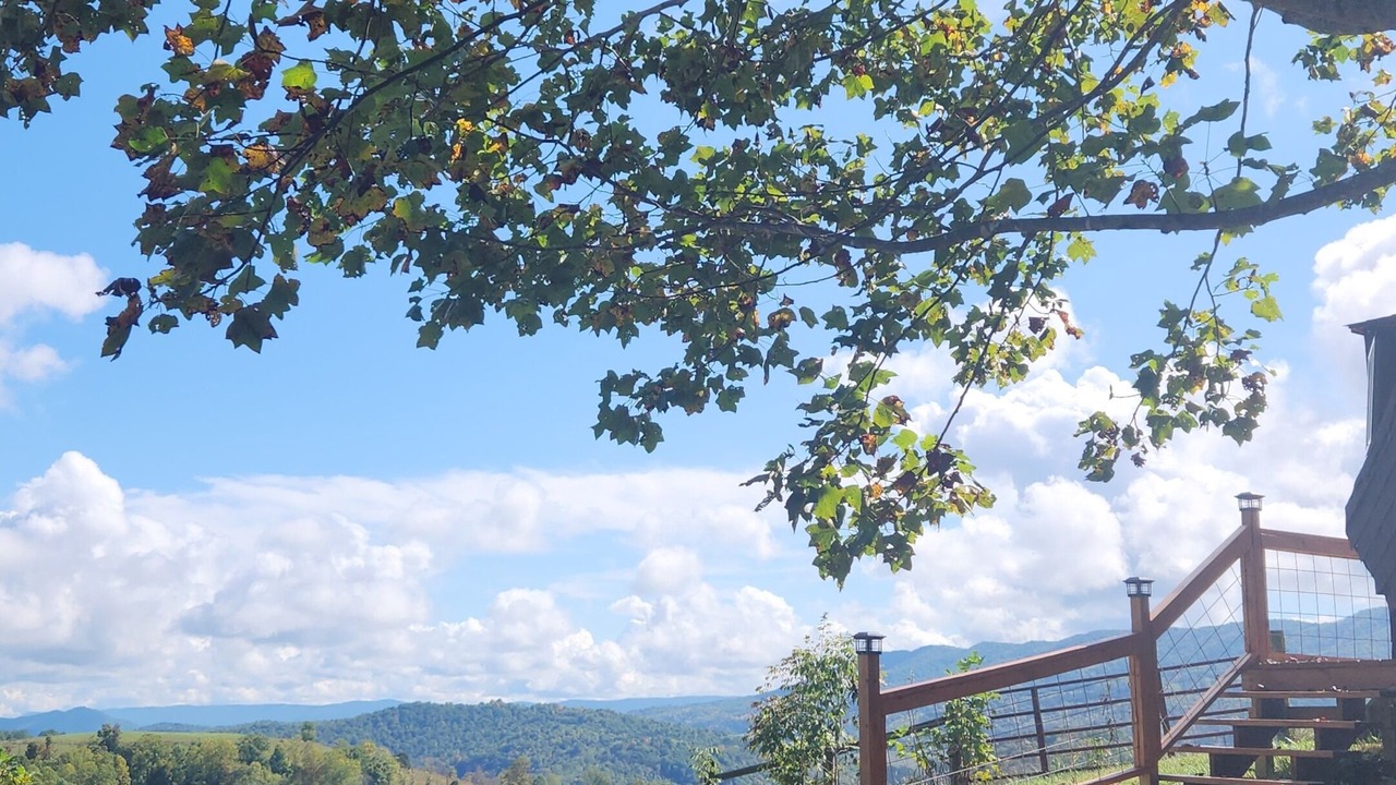 Photo of Outdoor in North Fork