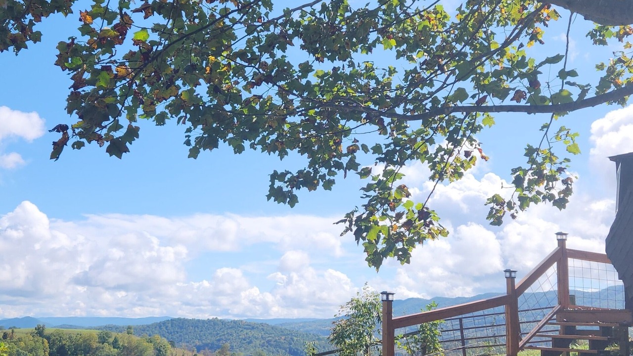 Photo of Outdoor in North Fork