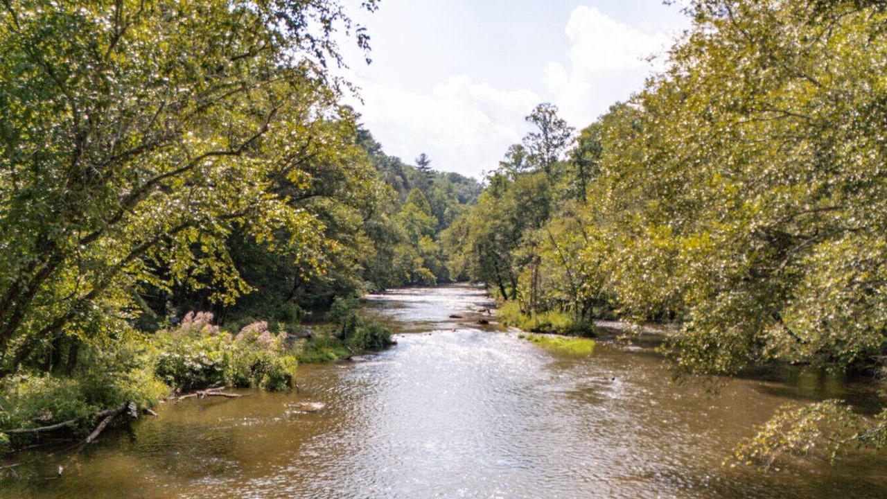 Photo of Others in Lake Lure
