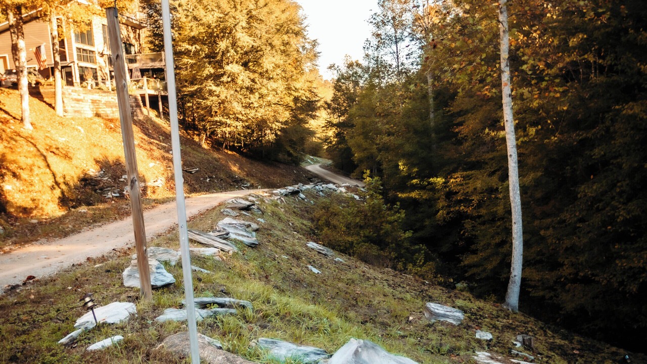 Photo of Outdoor in Linden