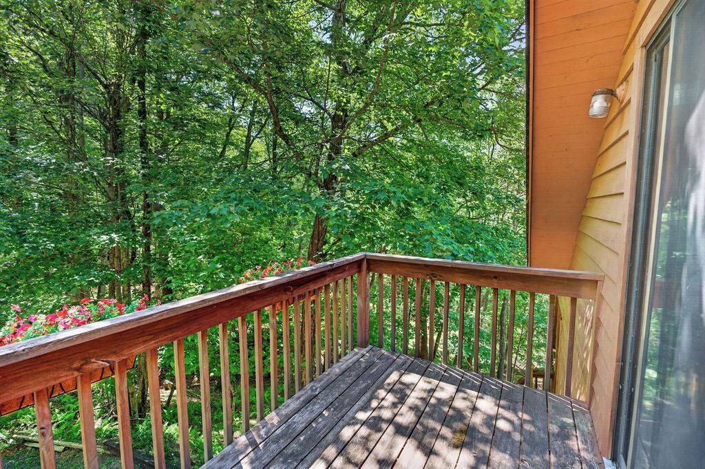 Photo of Outdoor in Fancy Gap