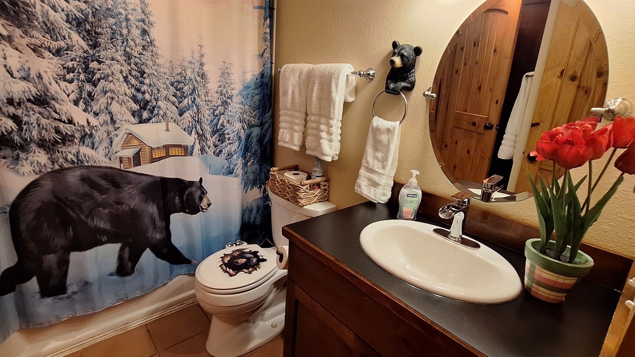 Photo of Bathroom in Blowing Rock