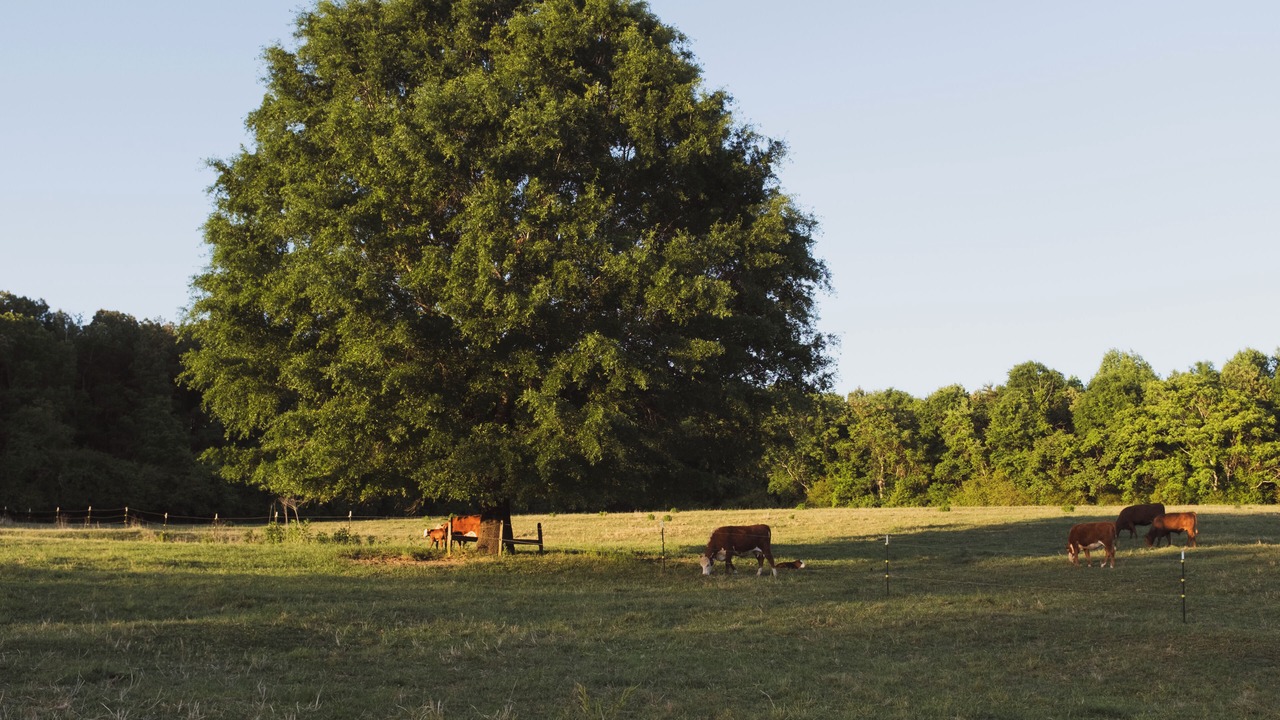 Photo of Others in Winston - Salem