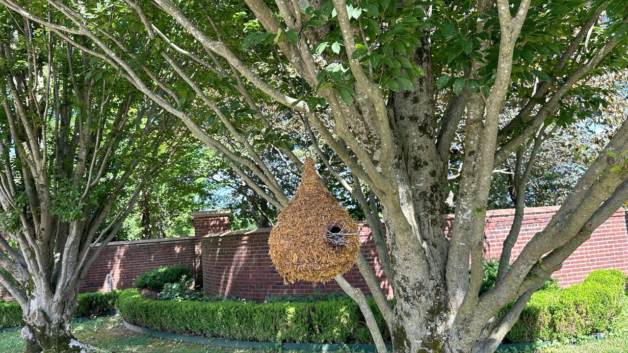 Photo of Outdoor in Springfield
