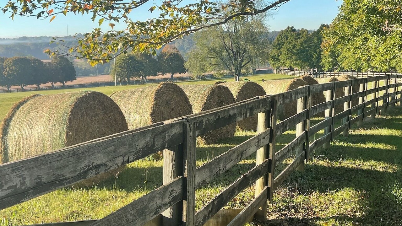 Photo of Outdoor in Springfield