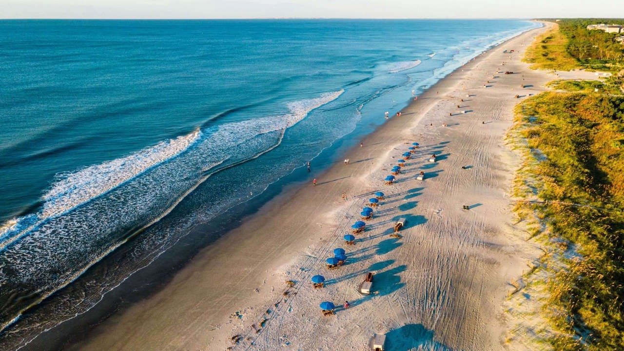 Photo of Others in Palmetto Dunes
