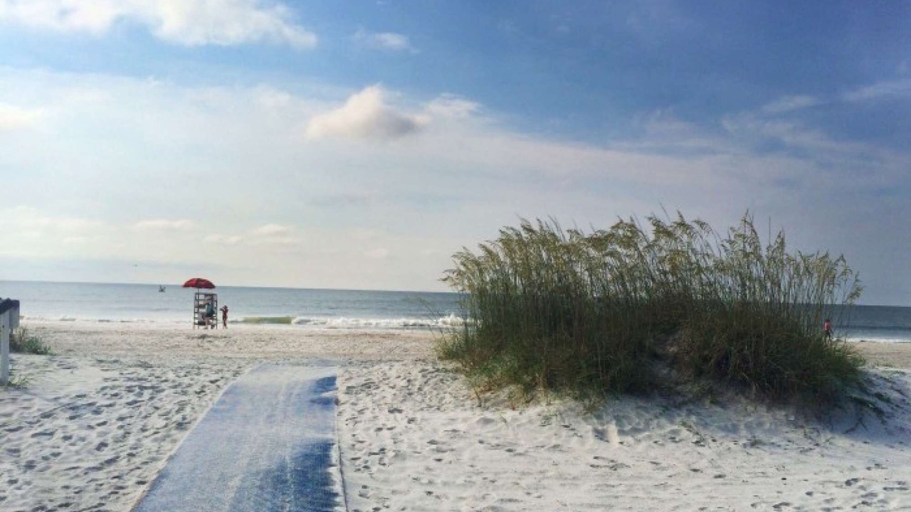 Photo of Others in Palmetto Dunes