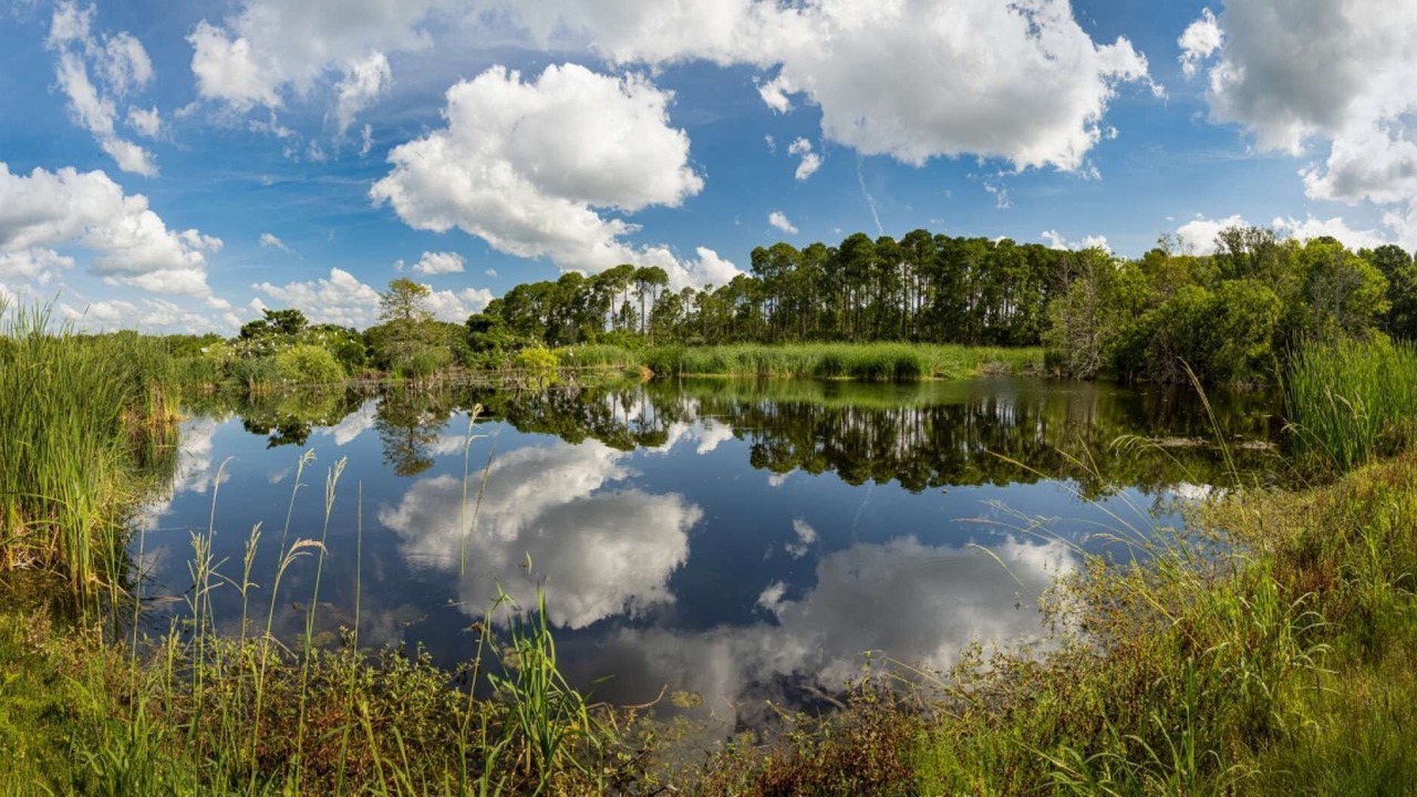 Photo of Others in Palmetto Dunes