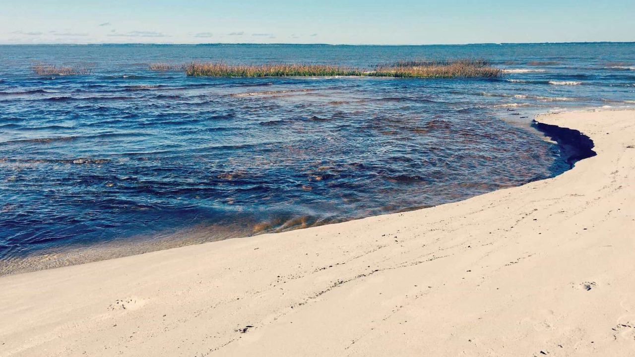 Photo of Others in Palmetto Dunes