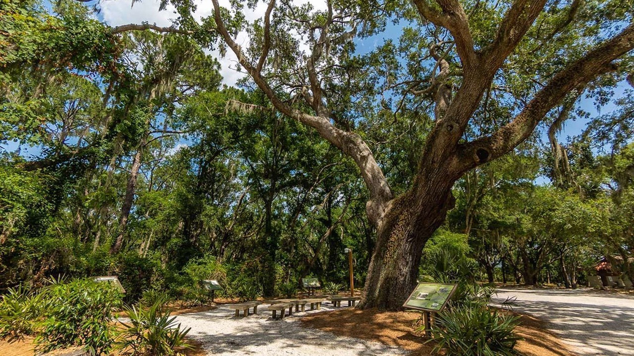 Photo of Others in Palmetto Dunes