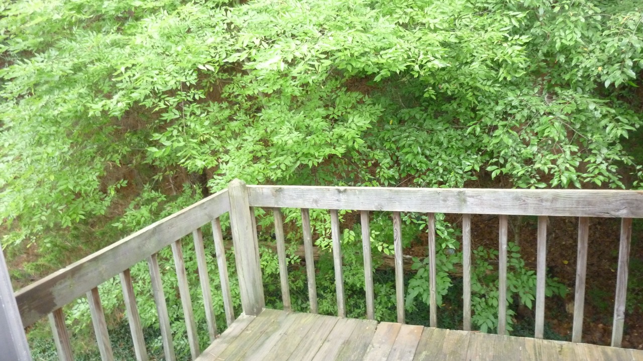 Photo of Patio Balcony in Chapel Hill