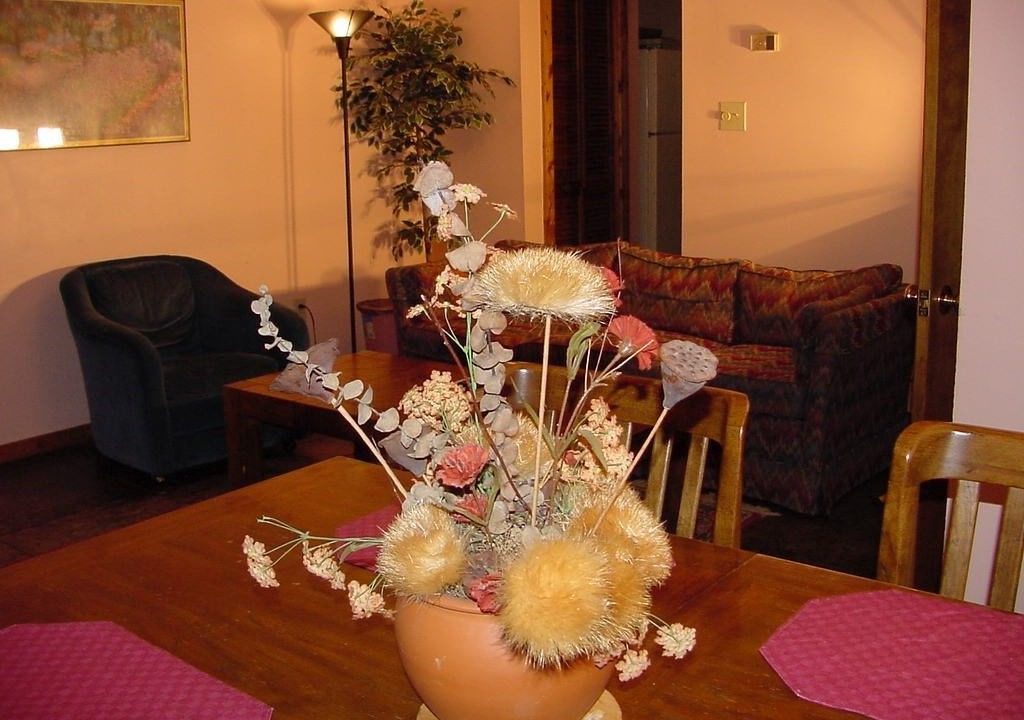 Photo of Livingroom in Chapel Hill