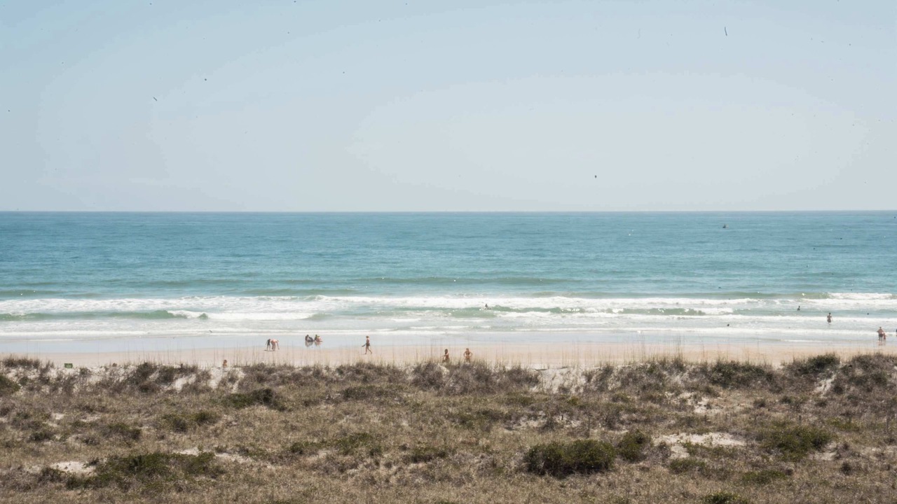Photo of Others in Shell Island