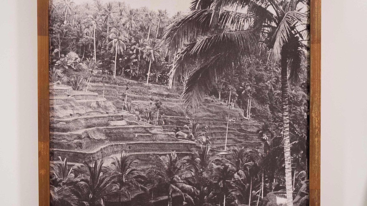 Photo of Others in Shell Island