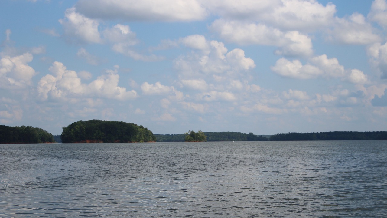 Photo of Others in Merifield Acres