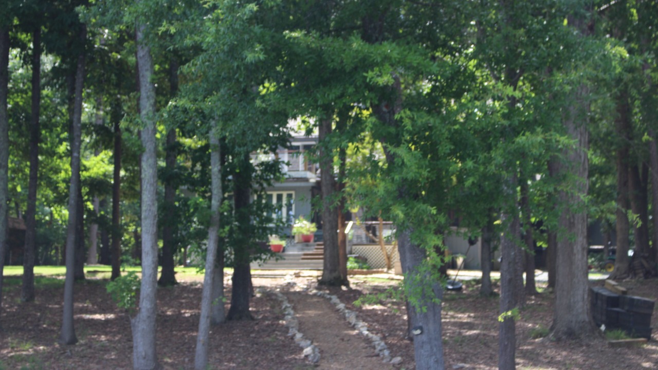 Photo of Outdoor in Merifield Acres