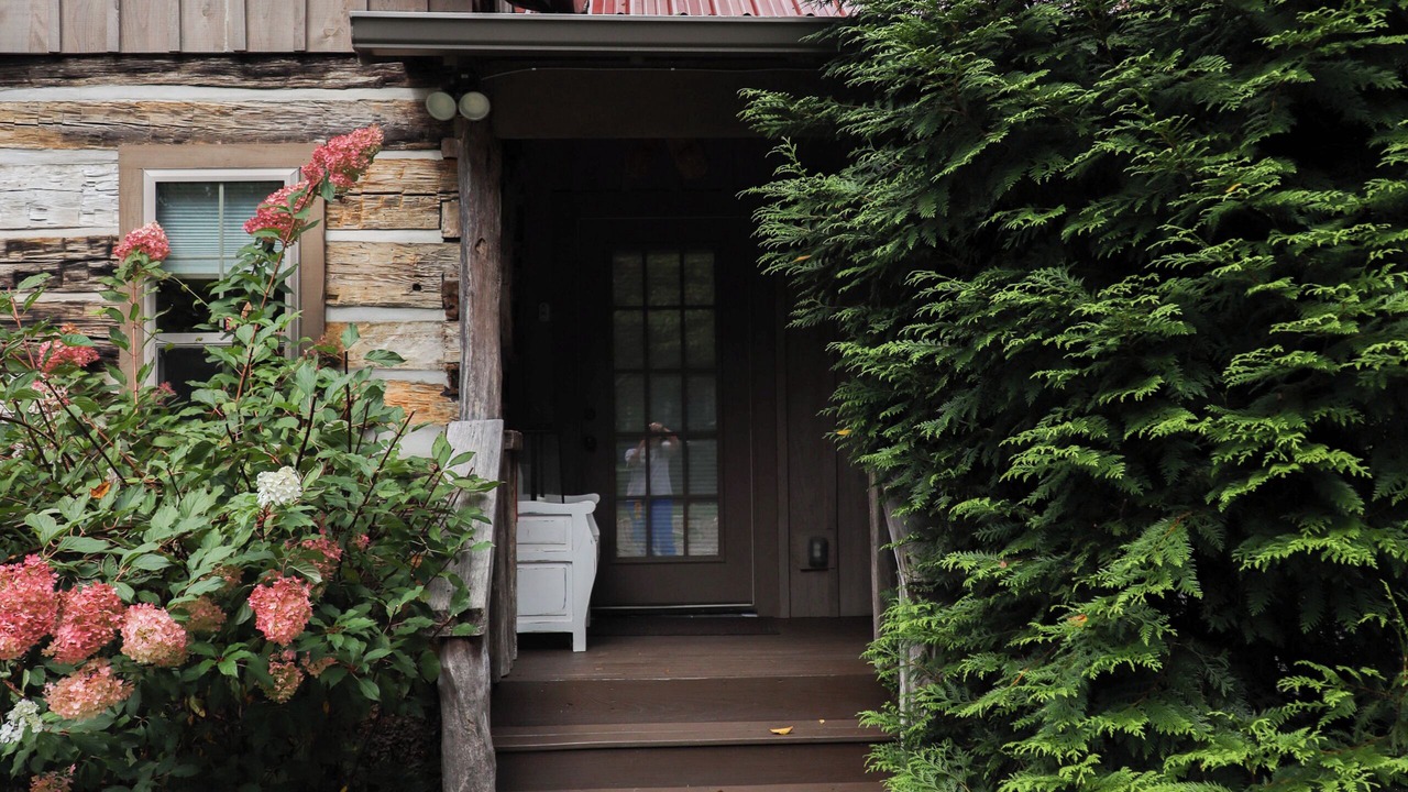 Photo of Outdoor in Weaverville