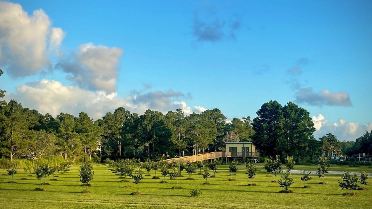 Photo of Outdoor in Merritt