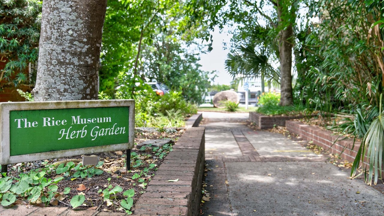 Photo of Outdoor in Georgetown