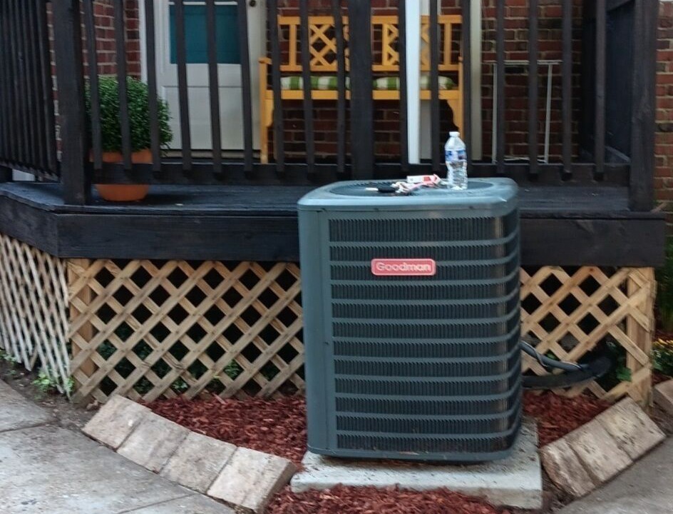 Photo of Outdoor in Norfolk