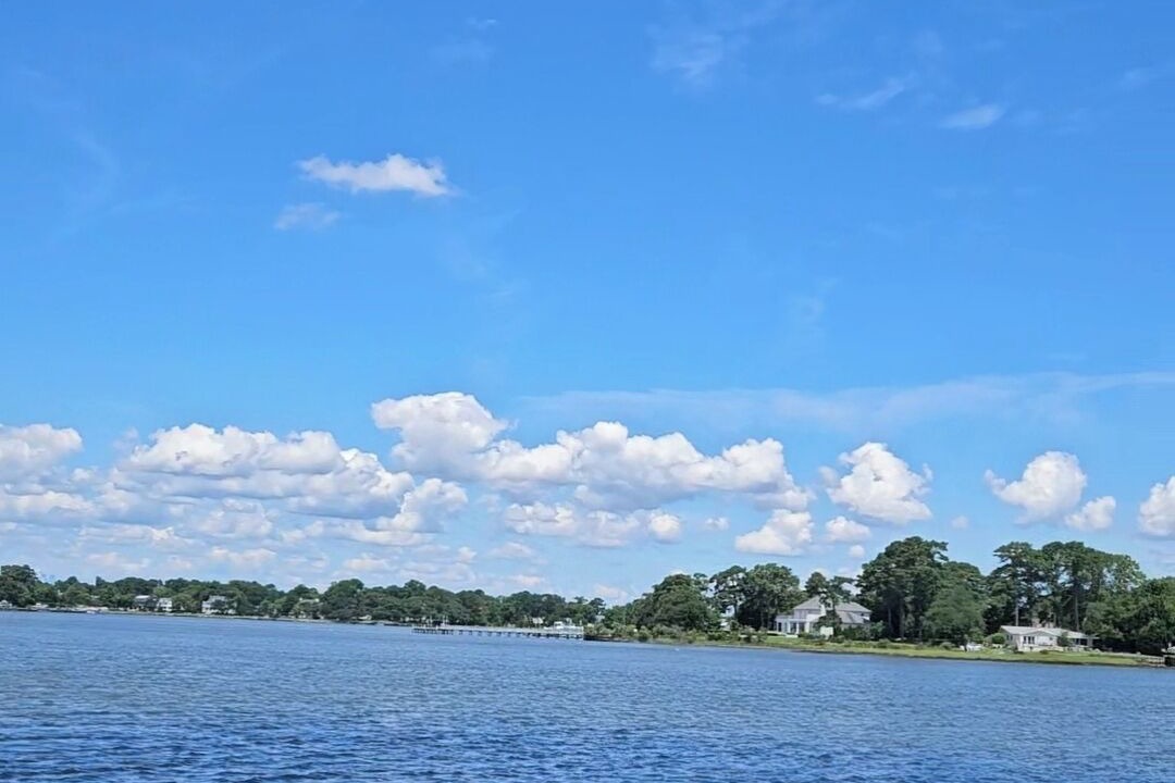 Photo of Others in Norfolk