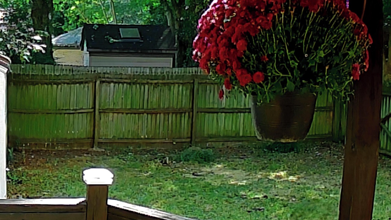 Photo of Outdoor in Norfolk