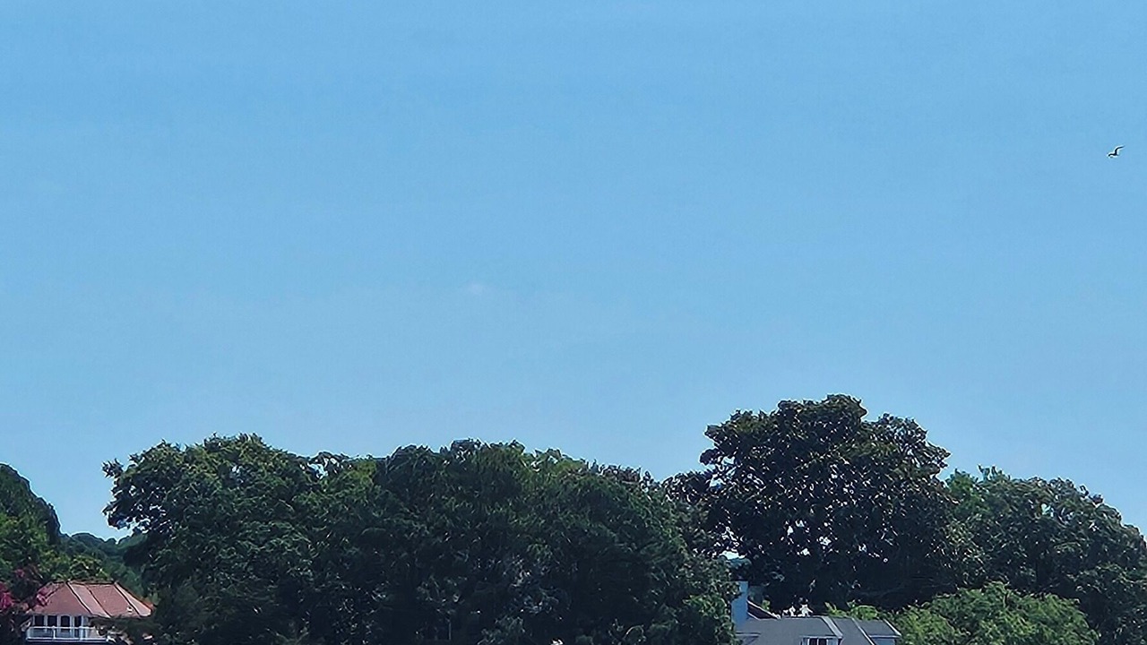 Photo of Others in Norfolk