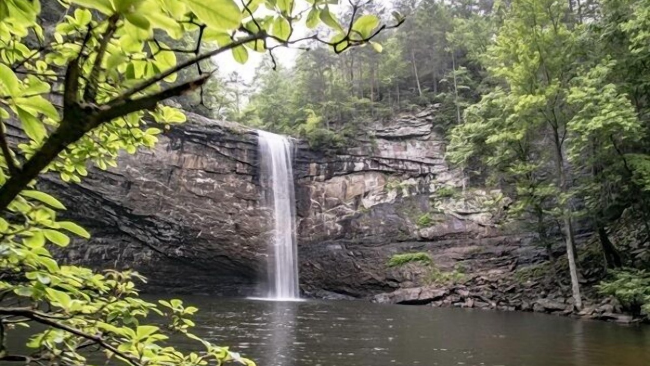 Photo of Others in Monteagle