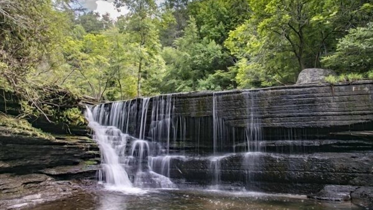 Photo of Others in Monteagle