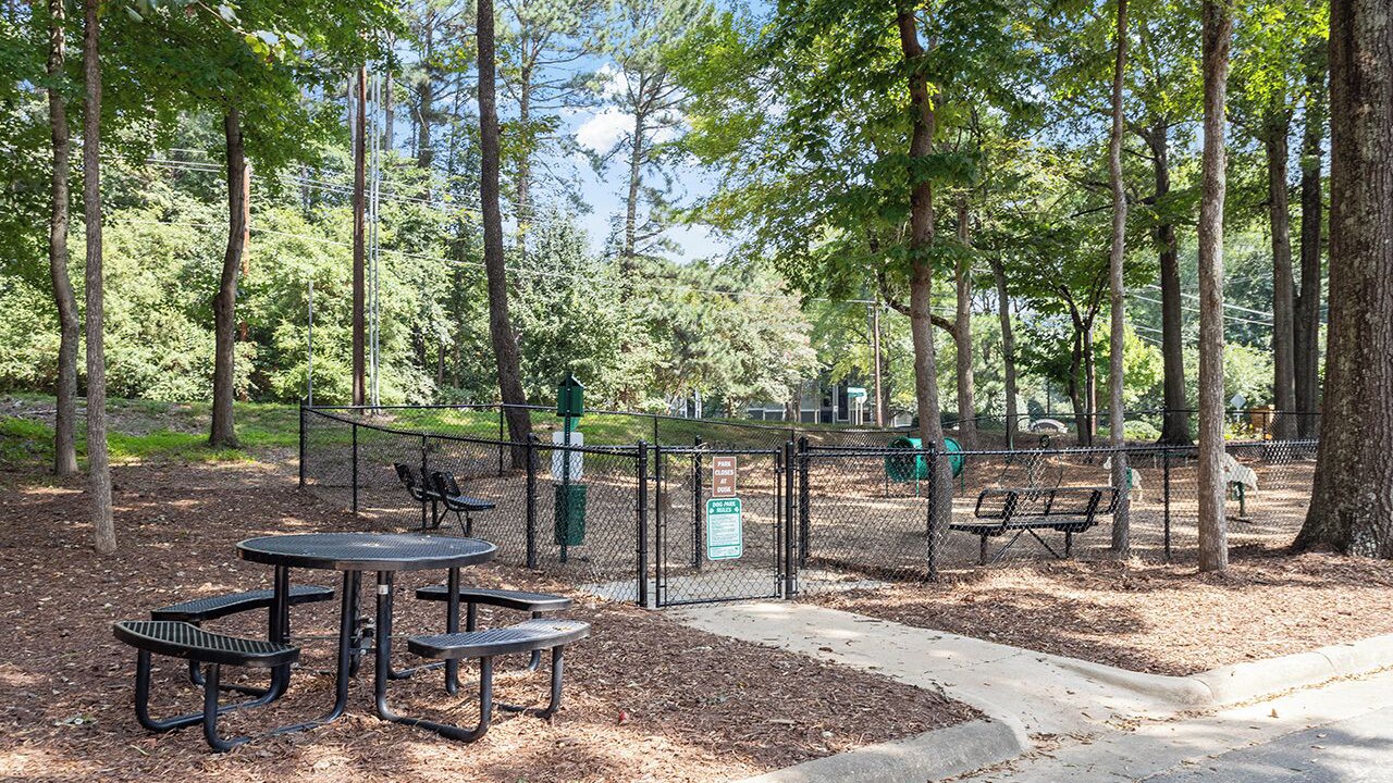 Photo of Outdoor in Chapel Hill