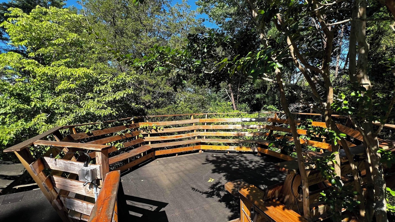 Photo of Outdoor in Mill Spring