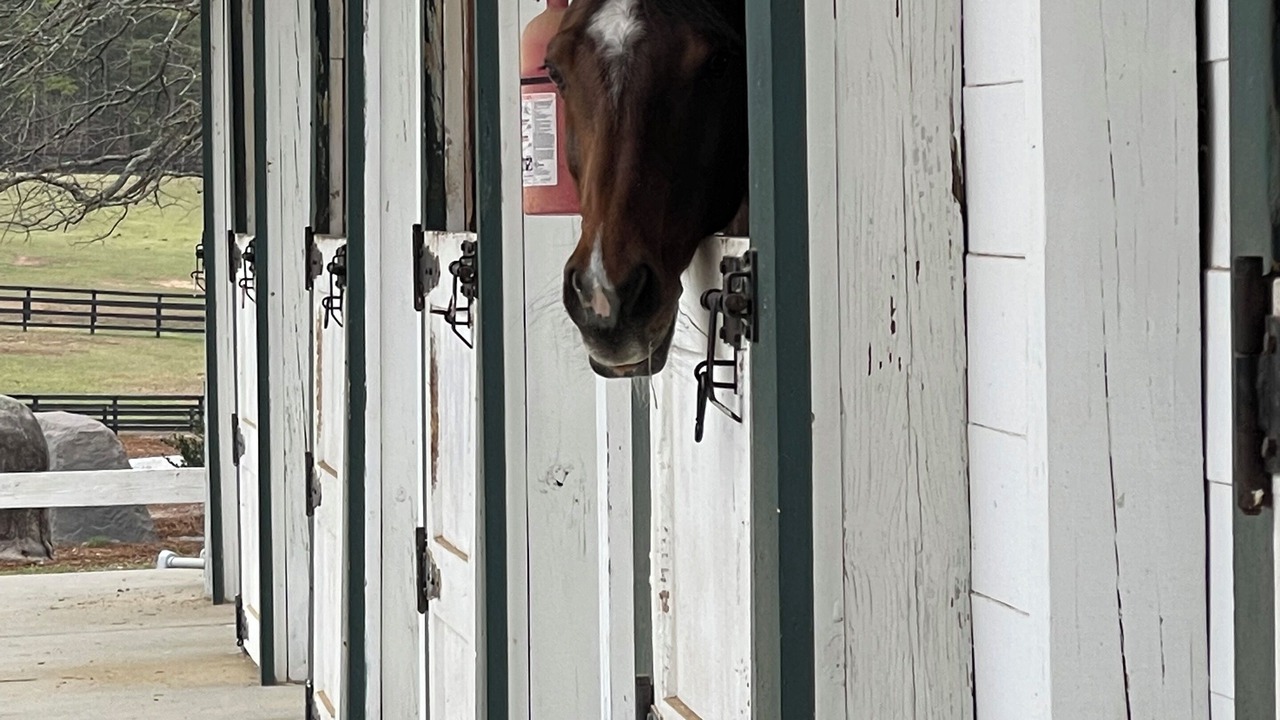 Photo of Outdoor in Aiken