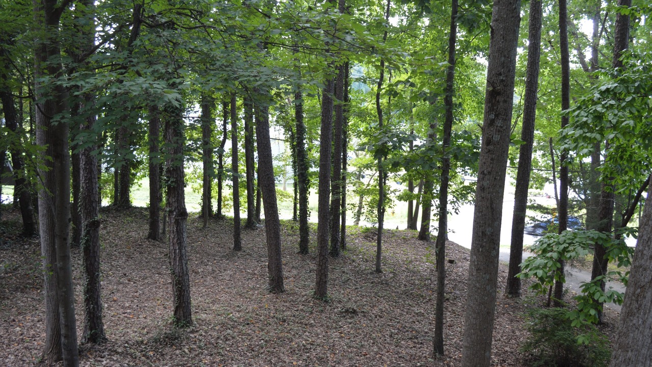Photo of Others in Winston - Salem