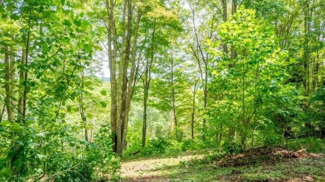 Photo of Outdoor in Frank