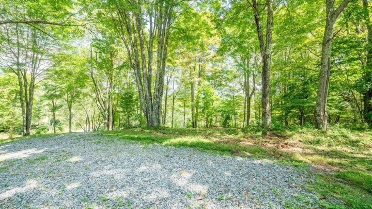 Photo of Outdoor in Frank