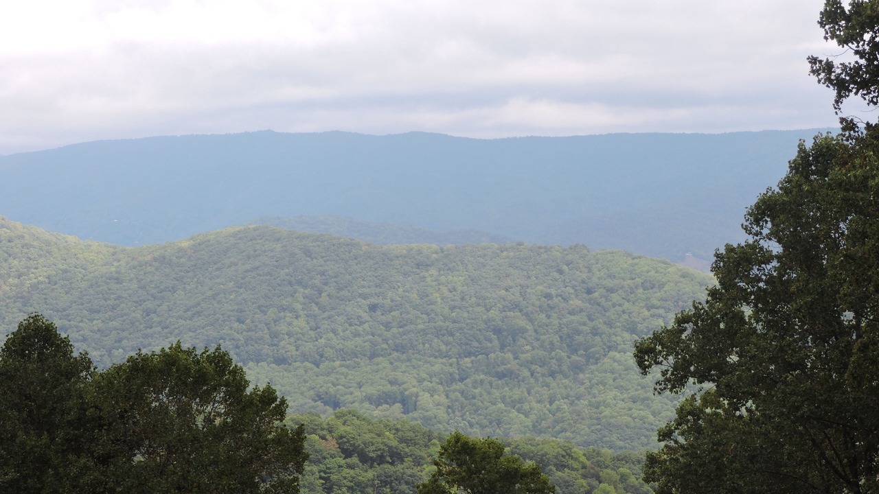 Photo of Outdoor in Spruce Pine