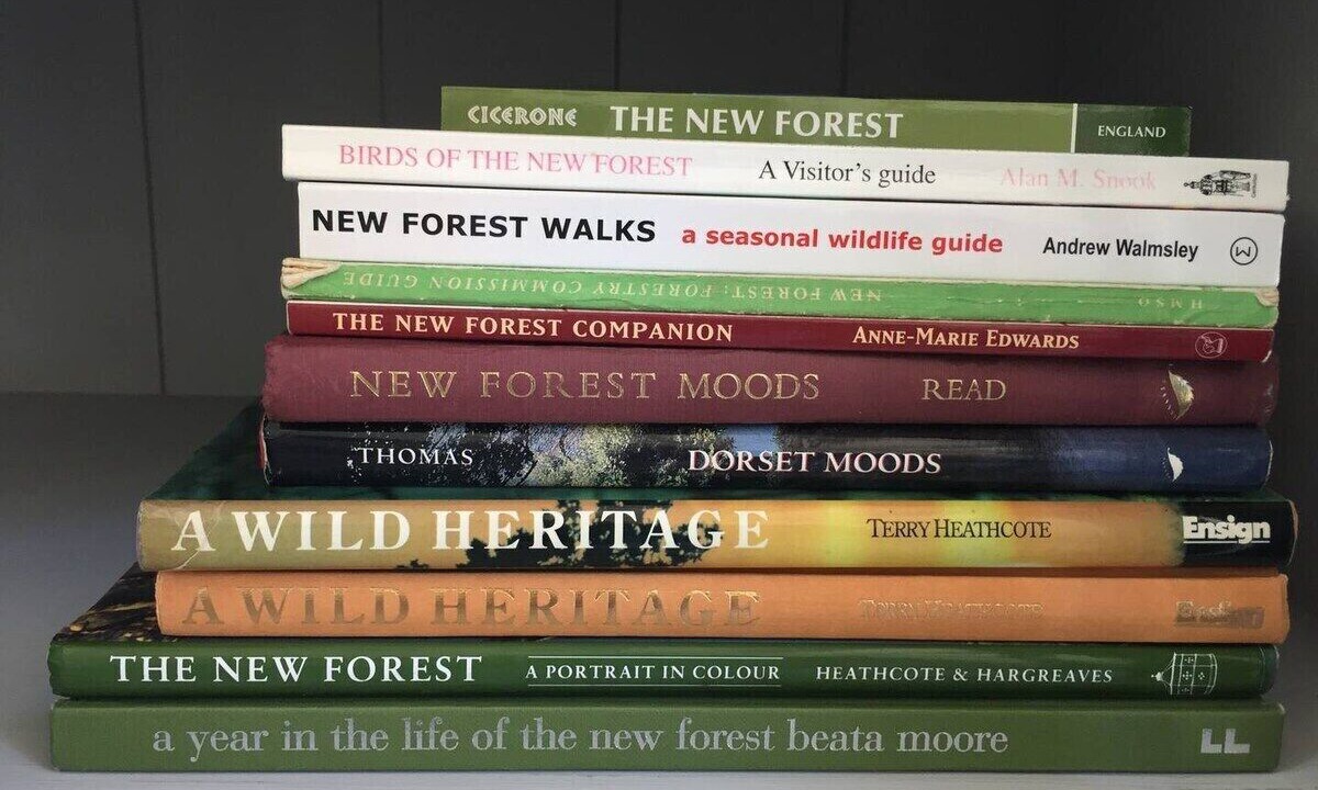 Photo of Others in New Forest District