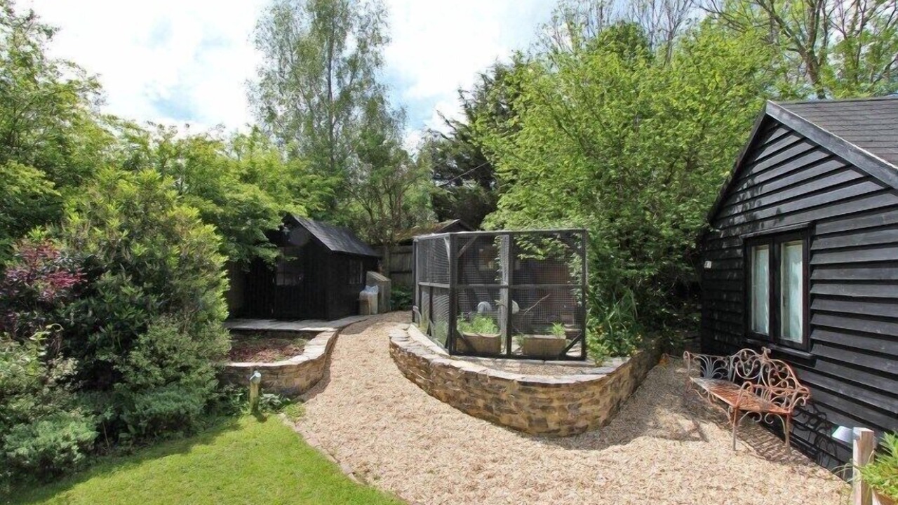 Photo of Outdoor in New Forest District