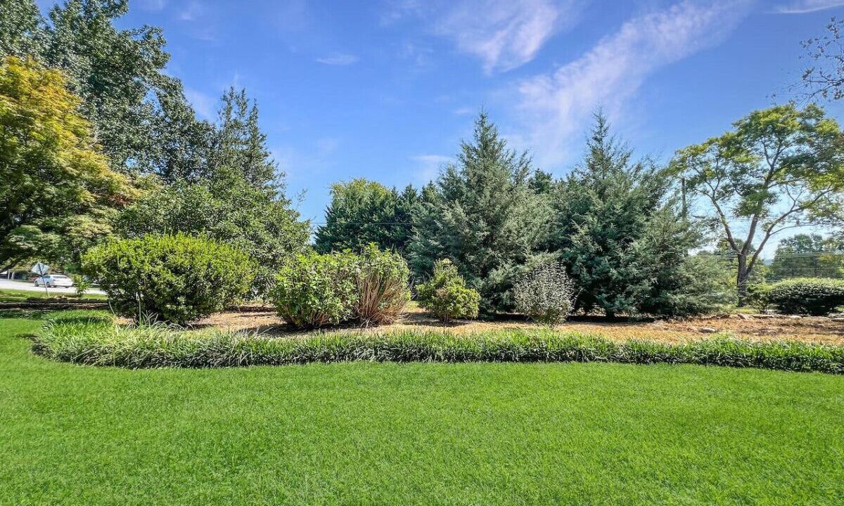 Photo of Outdoor in Wilkesboro