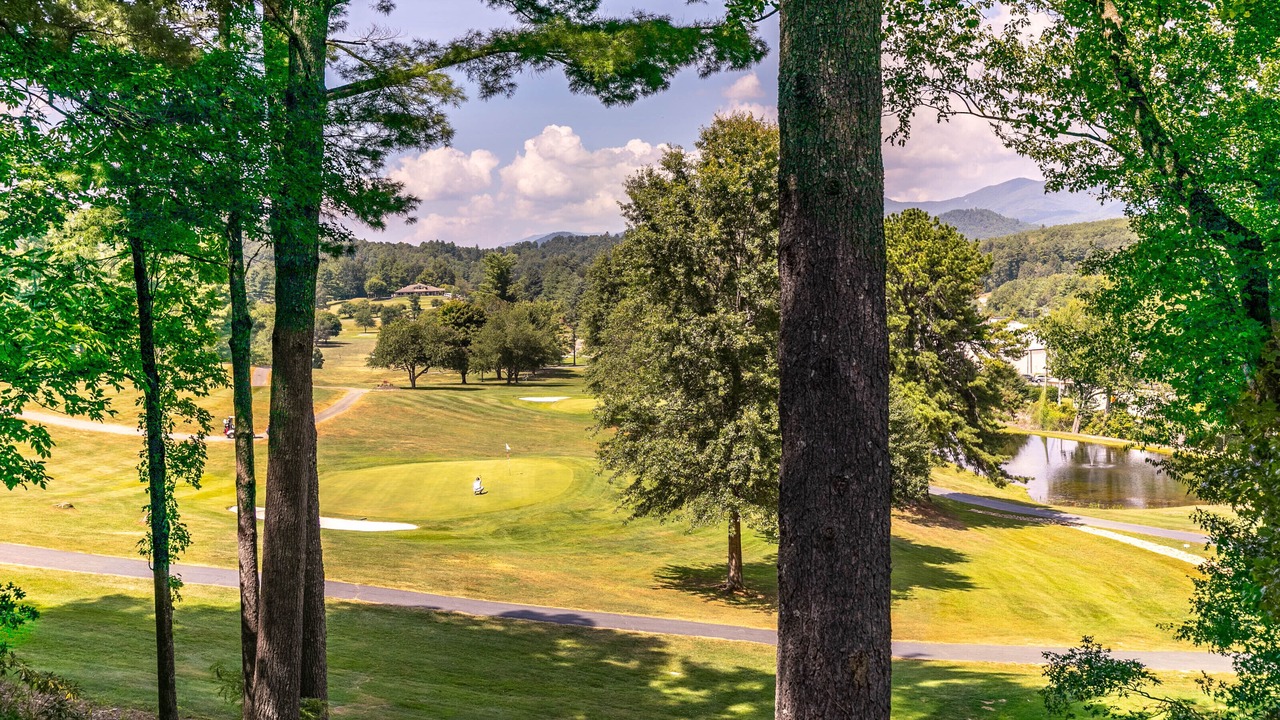 Photo of Others in Spruce Pine