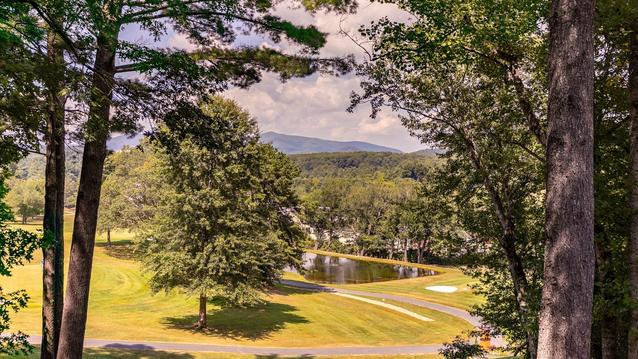 Photo of Others in Spruce Pine