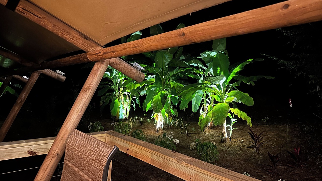 Photo of Outdoor in Taylorsville