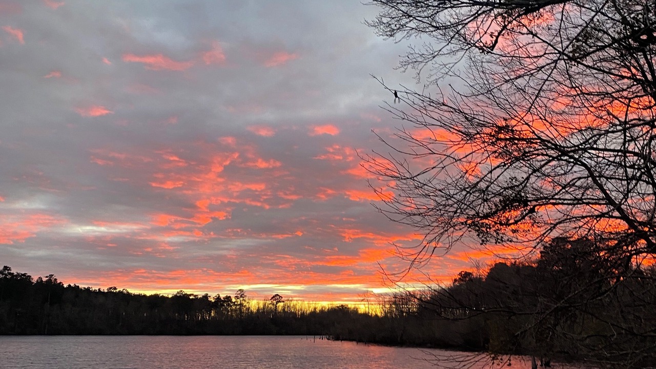 Photo of Outdoor in Lumberton