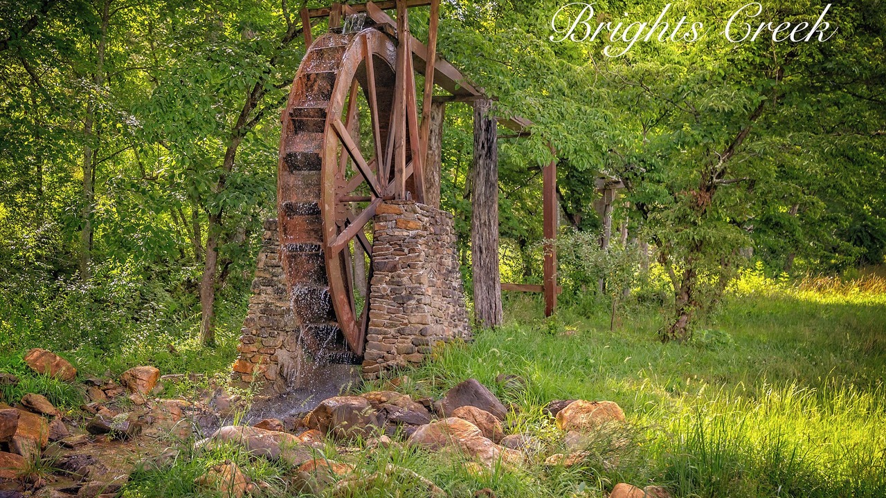 Photo of Outdoor in Mill Spring