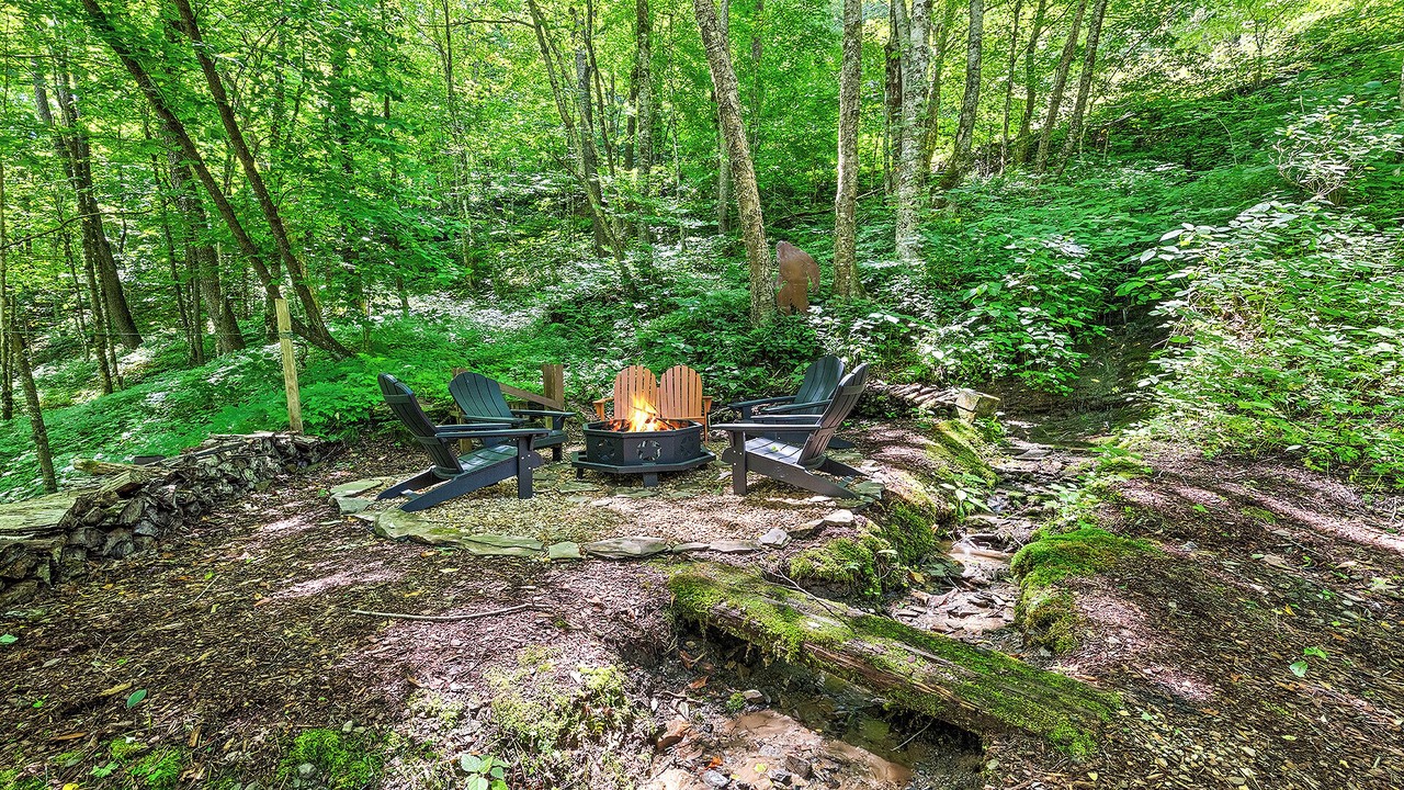 Photo of Others in Maggie Valley