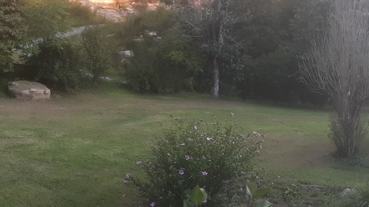 Photo of Outdoor in Tuckasegee